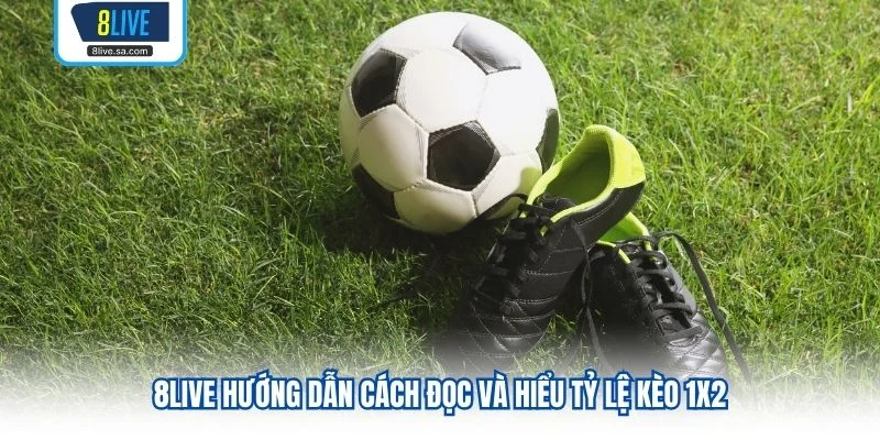 8LIVE hướng dẫn cách đọc và hiểu tỷ lệ kèo 1X2