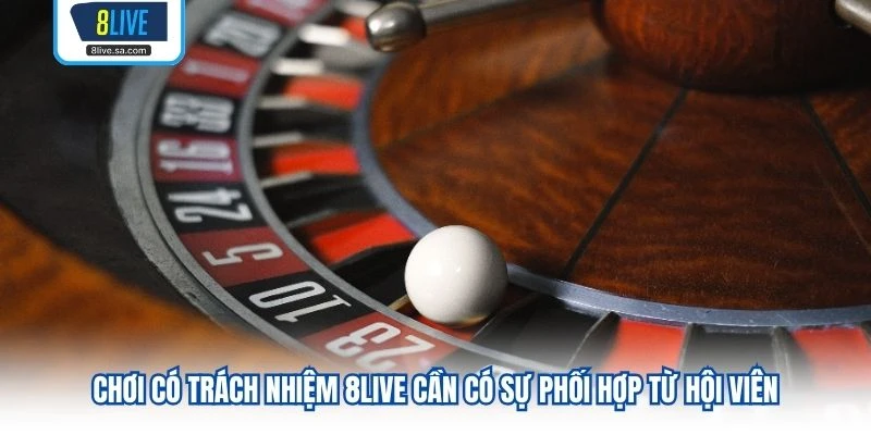 Chơi Có Trách Nhiệm 8LIVE cần có sự phối hợp từ hội viên