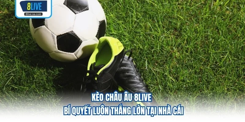Kèo Châu Âu 8LIVE