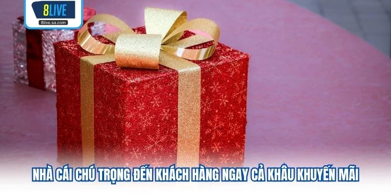 Nhà cái chú trọng đến khách hàng ngay cả khâu khuyến mãi