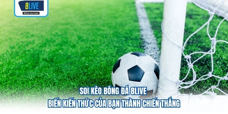 Soi Kèo Bóng Đá